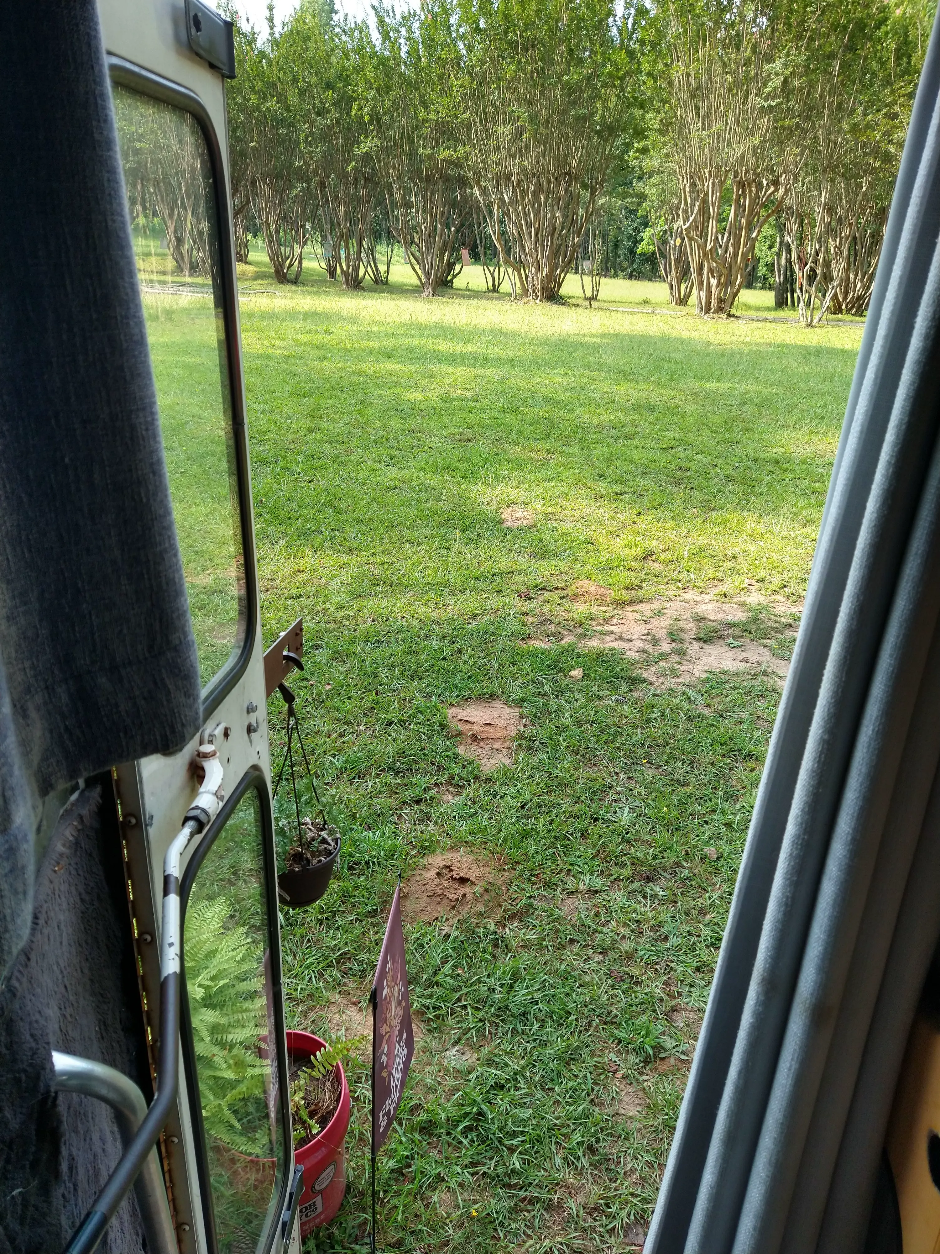 View from the Doorway