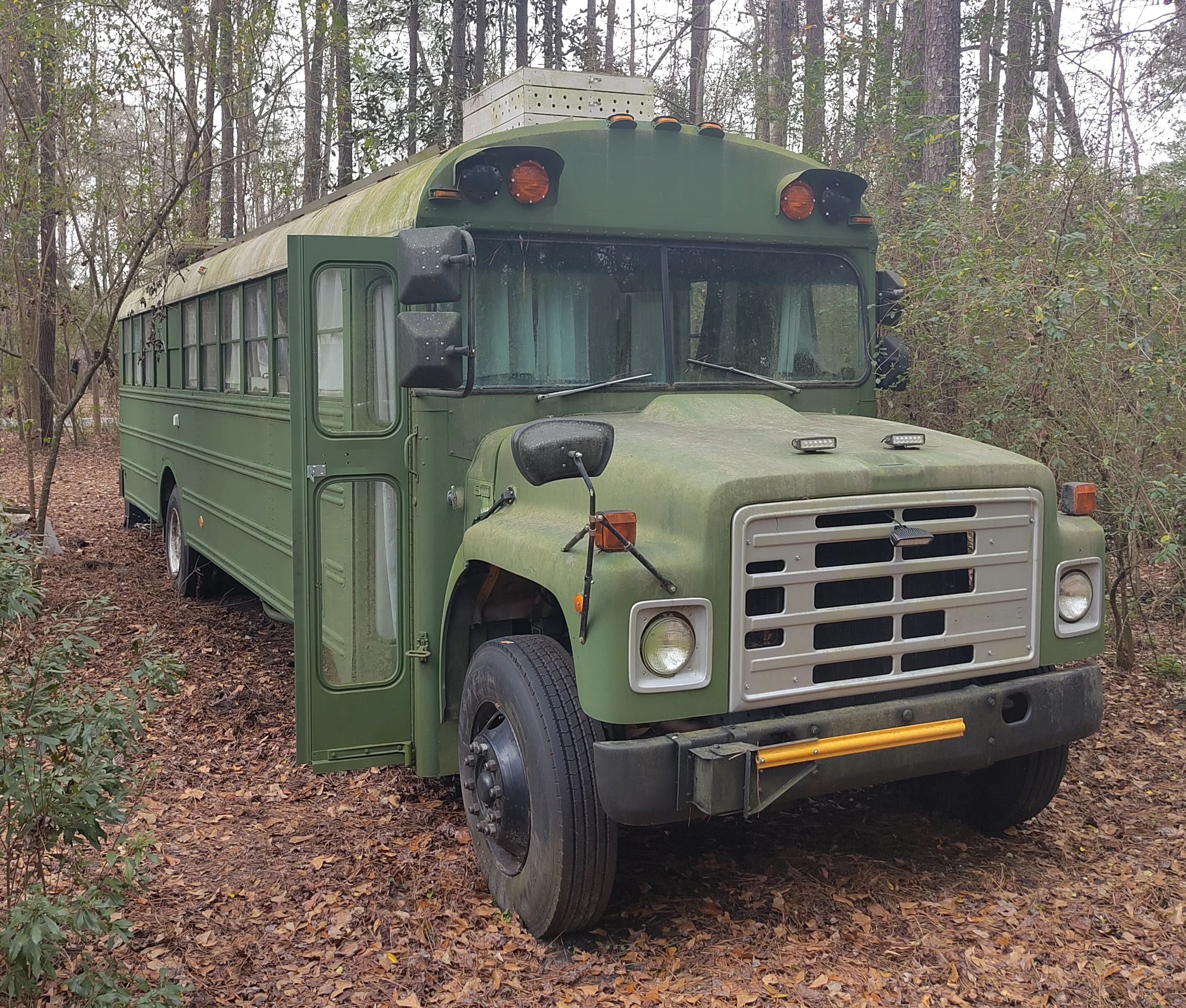 Front View (Cropped)