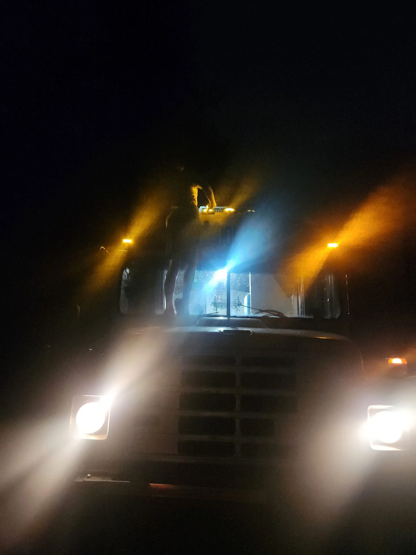 Night Lights